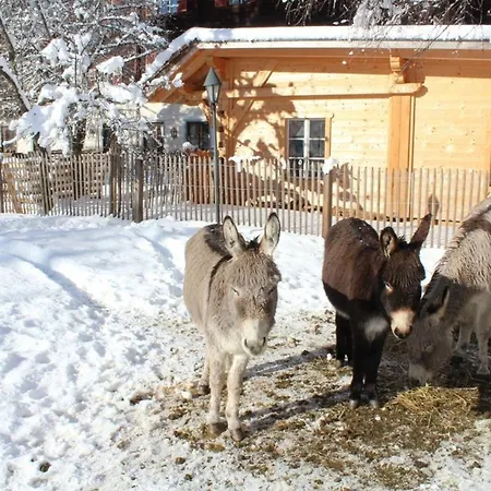 Aktivurlaub Am Großglockner In Der Hütte Schlosswirt Iii By Fewoplan Ferienhaus Dollach
