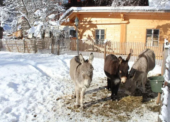 Schlosswirt Iii Dom wakacyjny Dollach